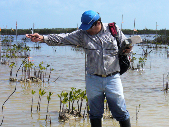 Estudios en materia de impacto y riesgo ambiental