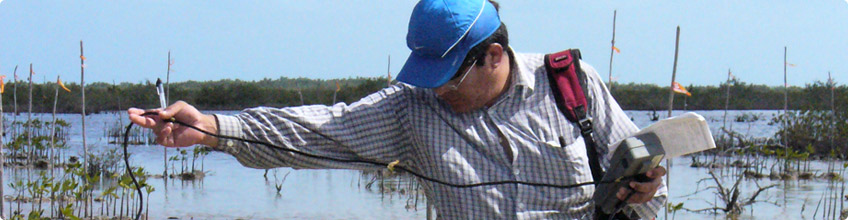 Estudios en materia de impacto y riesgo ambiental