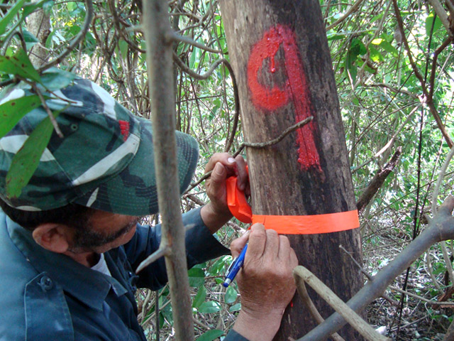 Estudios en materia forestal